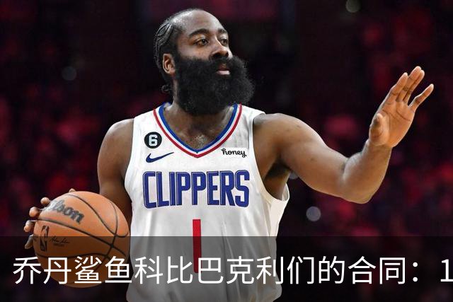乔丹鲨鱼科比巴克利们的合同：1996，史上最伟大夏天